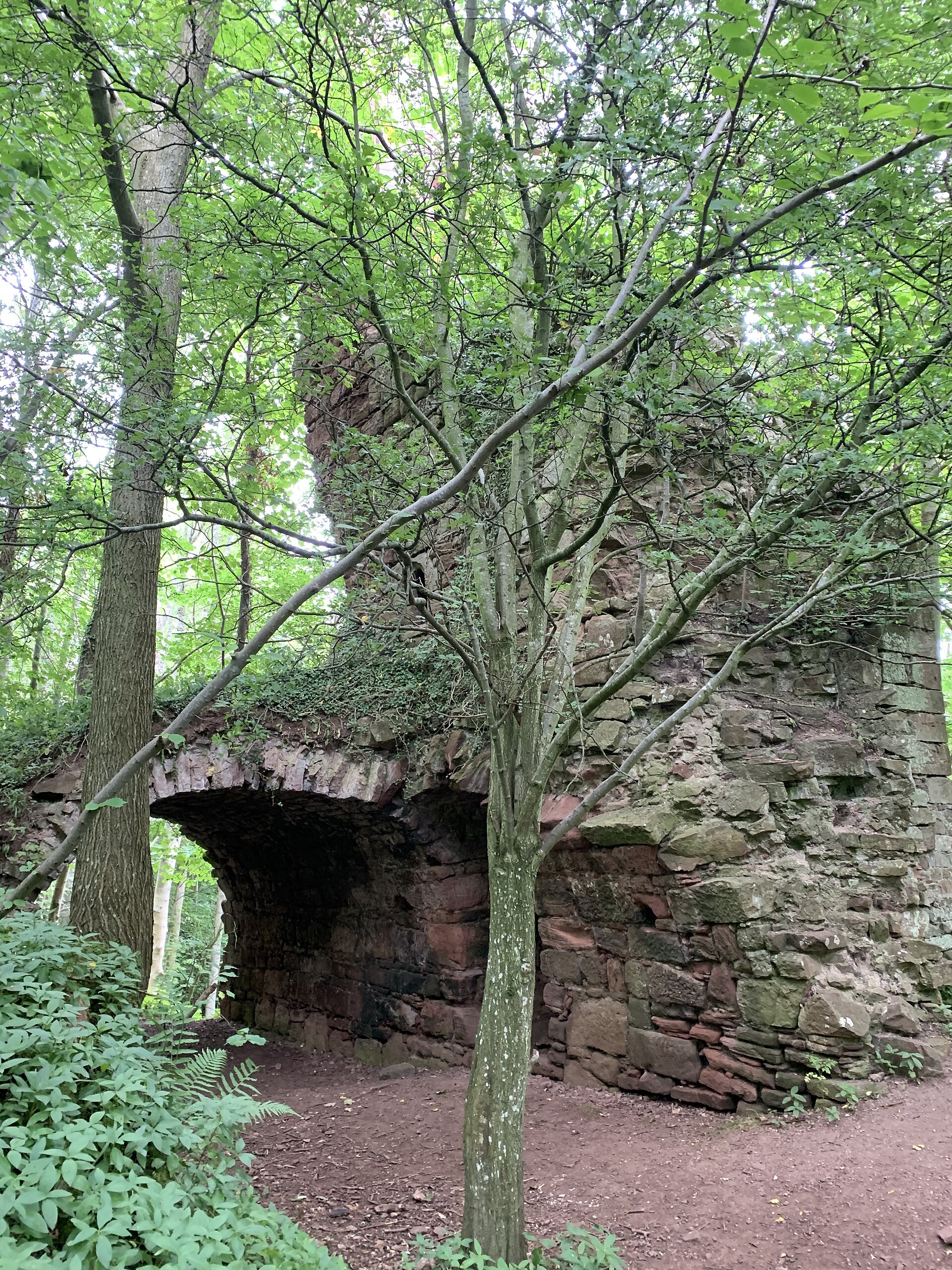 Yester Castle — image 2