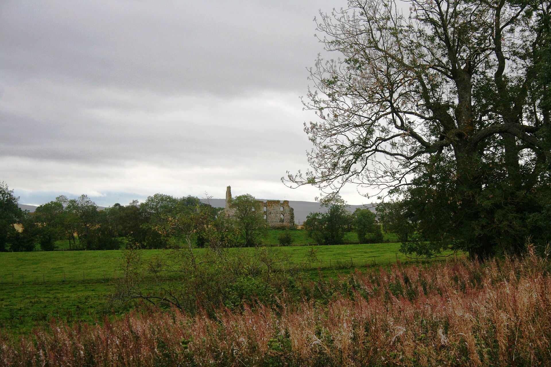 Yonder Bognie — image 2