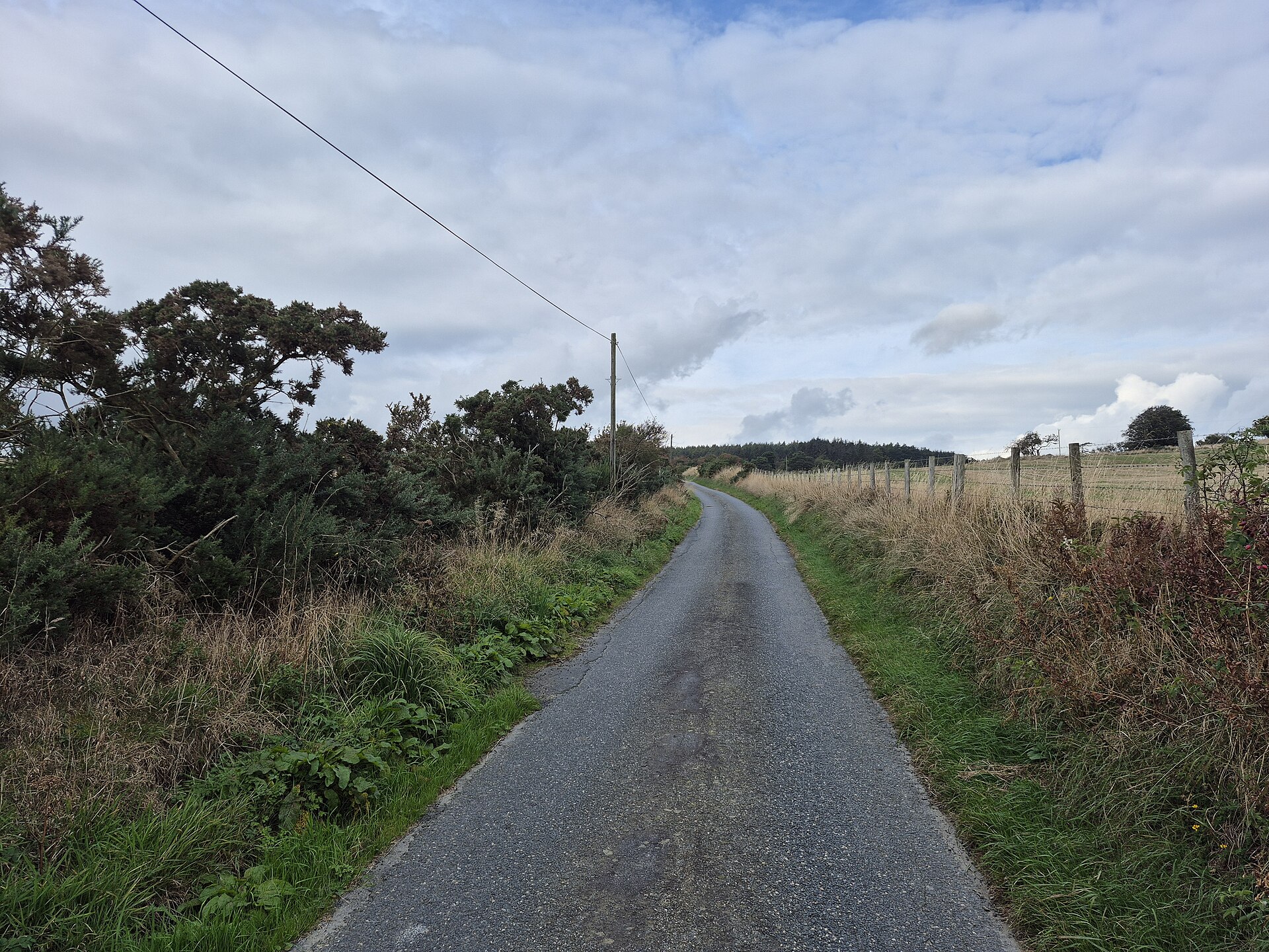 Yonder Bognie — image 3